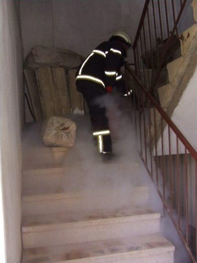 Apartmanda Yılan Paniği 1