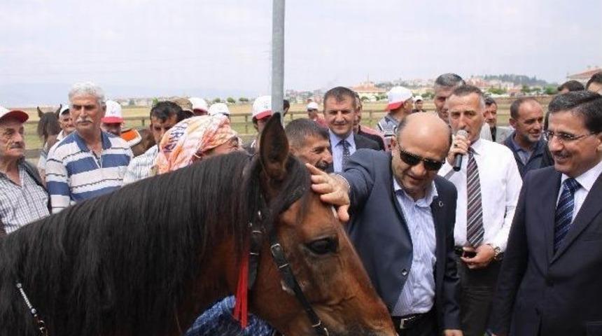 Bakan Fikri Işık&rsquo;a Yarış Atı Hediye Edildi