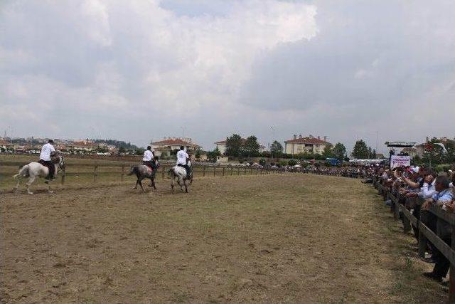 Bakan Fikri Işık’a Yarış Atı Hediye Edildi