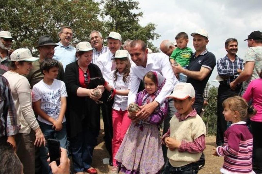 Alaşehir&rsquo;de Doğaya 500 Kınalı Keklik Salındı