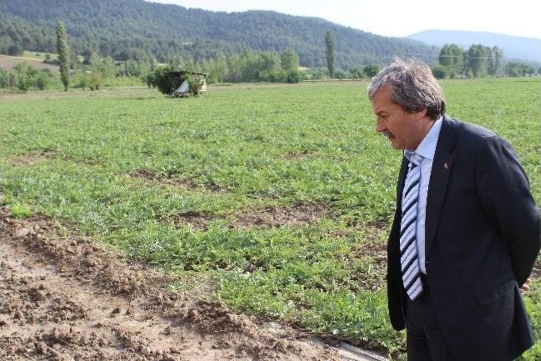 Yağan Yağmur Soğucakpınar Mahallesini Fel&ccedil; Etti