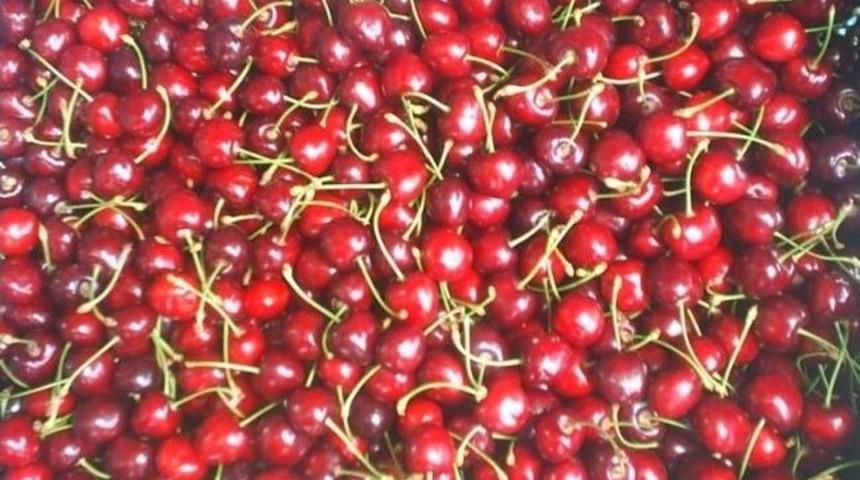 Selendi Kirazı Avrupa Pazarında