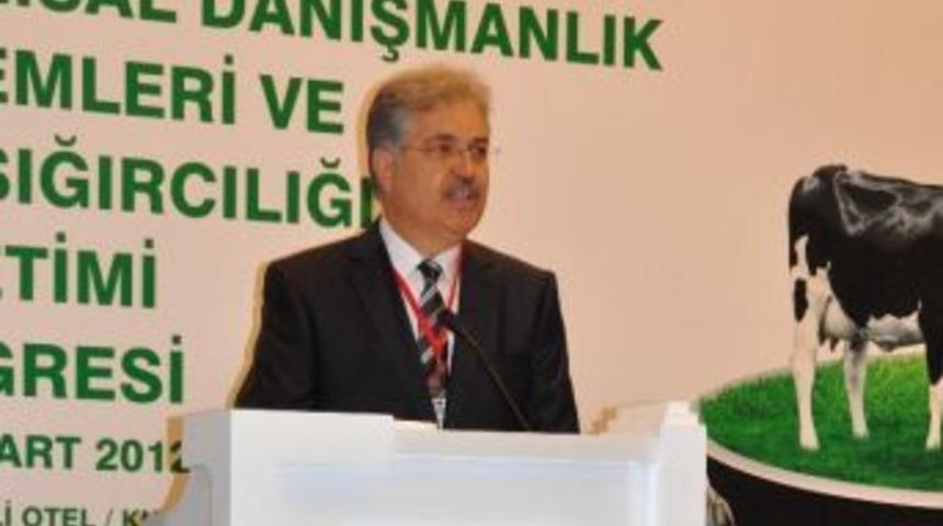G&uuml;ng&ouml;r: &ldquo;aydın&rsquo;ın Hayvancılığını Ve Tarım &Uuml;r&uuml;nlerini Markalaştırmamız Gerekiyor&rdquo;