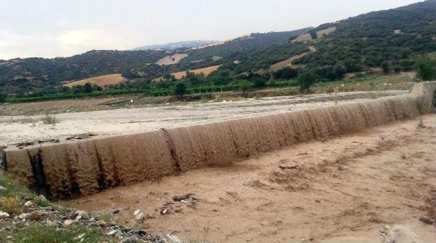 Sel Sularına Kapılan B&uuml;y&uuml;kbaş Hayvanlar Telef Oldu