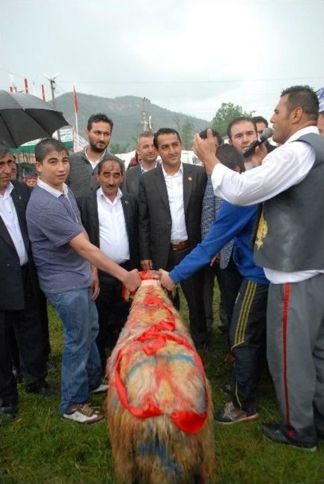 Yağmur Altında G&uuml;reş