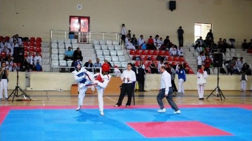 Mudanya&rsquo;da Tekvando Fırtınası