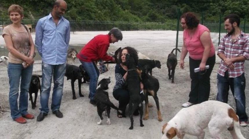 Trabzon'da Sahipsiz K&ouml;pekler İ&ccedil;in &ldquo;bir Kul&uuml;be De Sen Yap&rdquo;