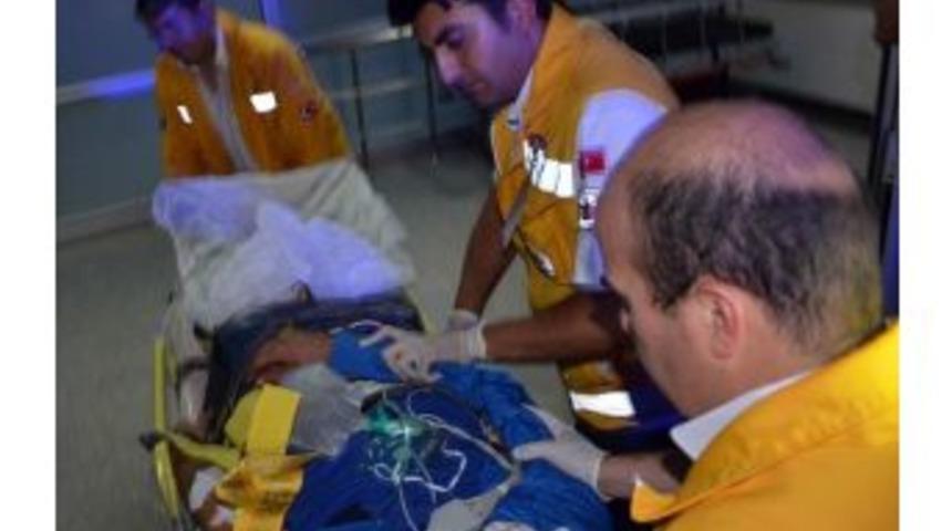 Bonzai İ&ccedil;en 7 Kişi Zehirlendi