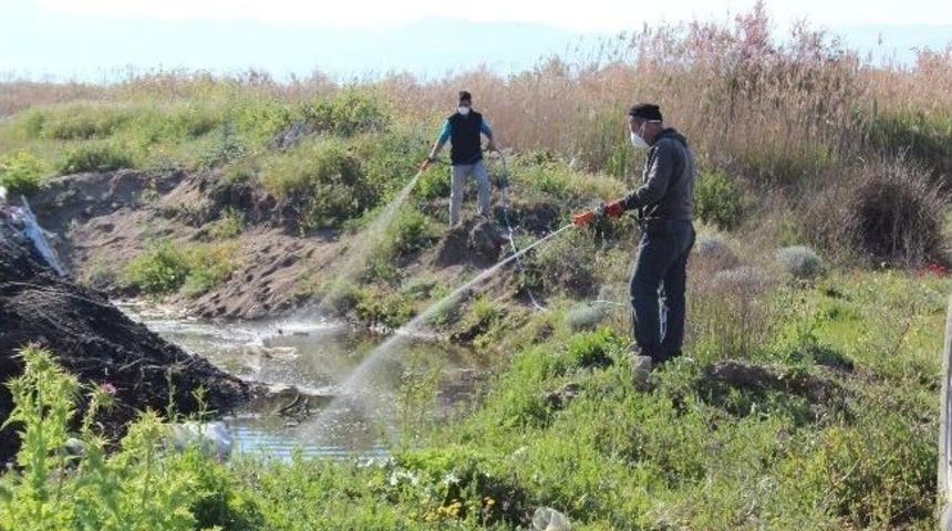 Edremit&rsquo;te Sinekle Etkin M&uuml;cadele
