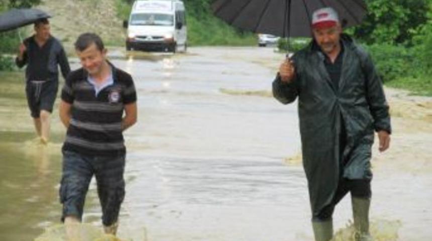 Yağmur sele  d&ouml;n&uuml;şt&uuml; b&uuml;y&uuml;k zararlar oluştu