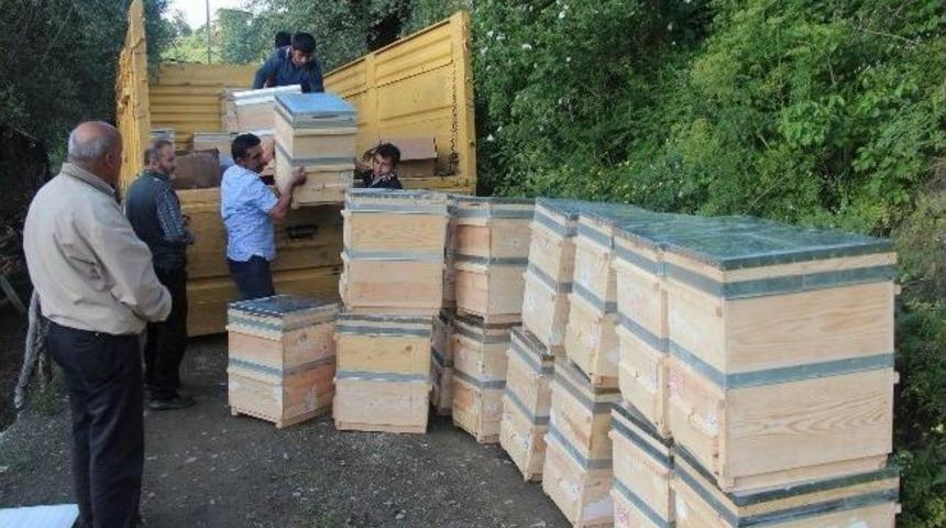 Sivas&rsquo;ta Organik Bal &Uuml;retimi Yaygınlaşacak