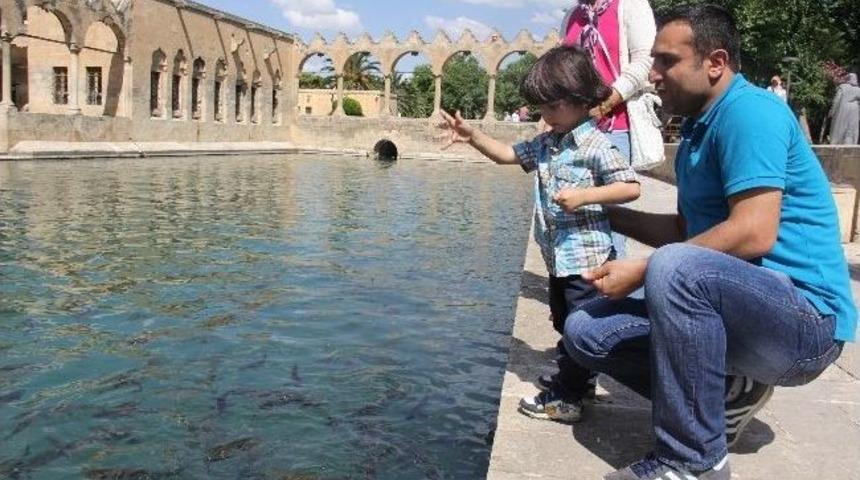 Balıklıg&ouml;l&rsquo;deki Balıkların Diyeti Sona Erdi