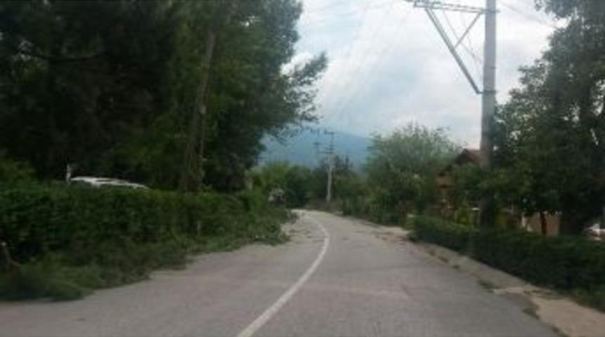 Kartepe&rsquo;de Budama &Ccedil;alışmaları Başladı