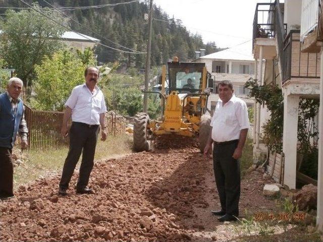 Büyükşehir Belediyesi'nden Anamur'a 5 Bin Mevsimlik Çiçek Ve 500 Ağaç