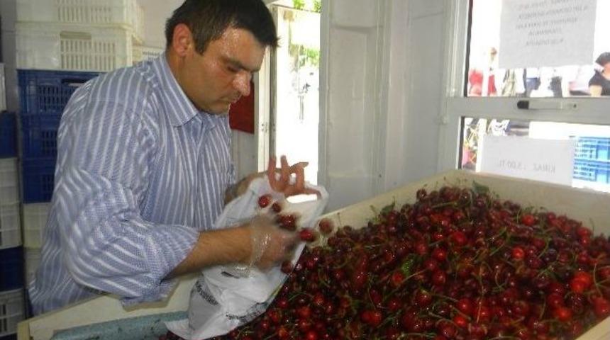 Tekirdağ&rsquo;da Yağmurdan &Ccedil;atlayan Kirazlar Satışa Sunuldu