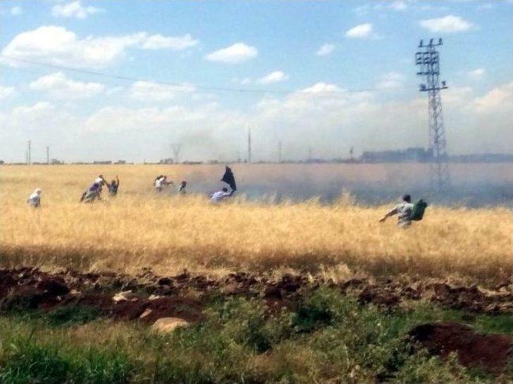 Viranşehir’de Buğday Tarlası Yandı G3