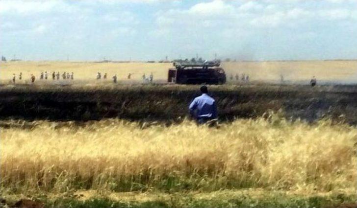 Viranşehir’de Buğday Tarlası Yandı G4