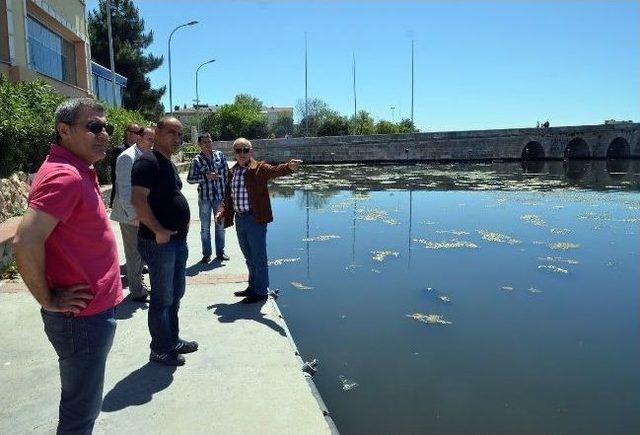 Başkan Akg&uuml;n&rsquo;den &Ccedil;evre Vurgusu 1