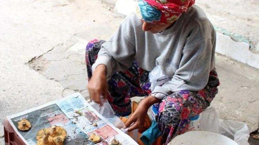 Et Fiyatına &Ccedil;ıntar