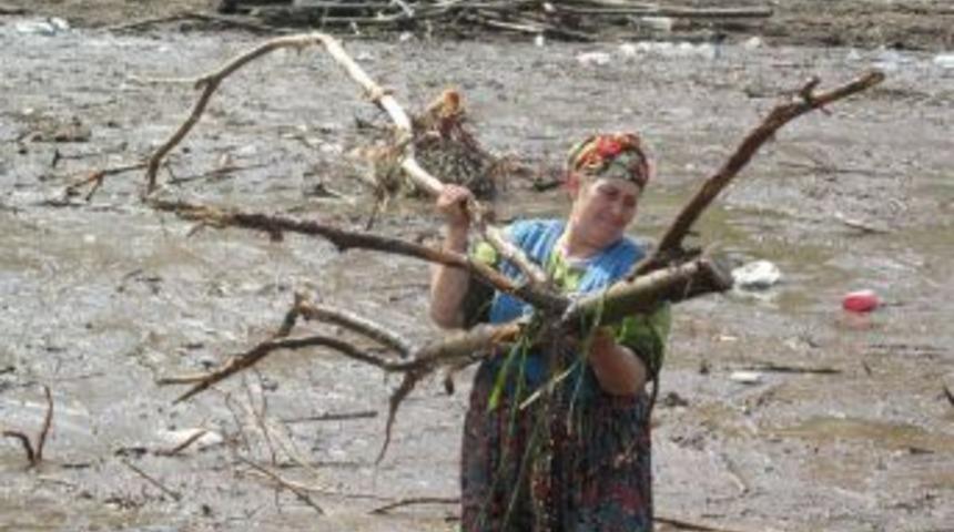 Selden gelen odunları topladılar