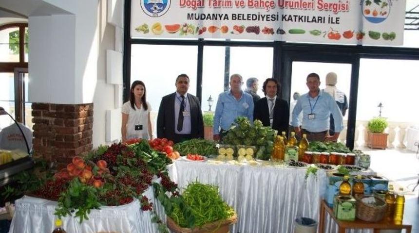 Kiraz İhracatını Yağmur Vurdu