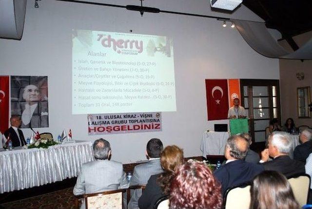 Kiraz İhracatını Yağmur Vurdu 1