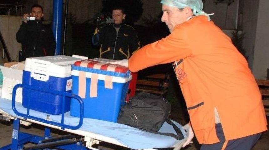 Organ Naklinde Acı Tablo