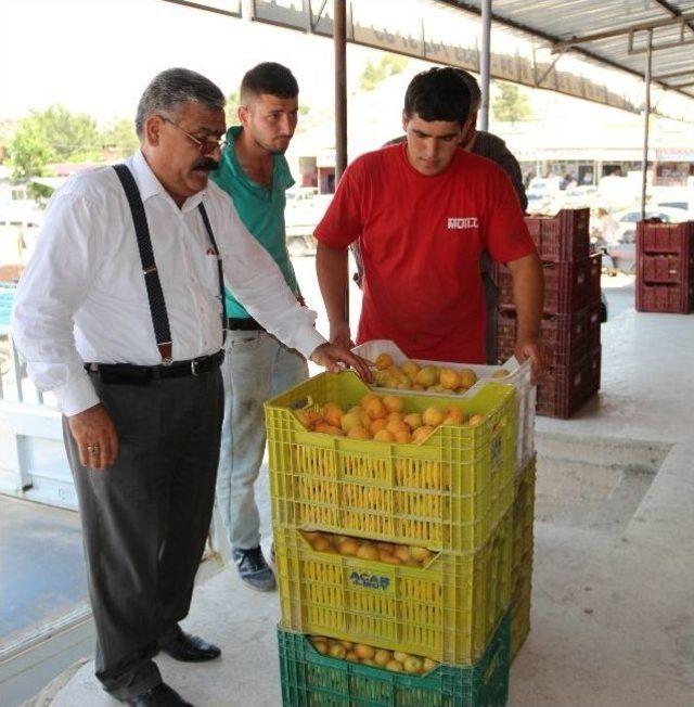 Mut'ta Kayısı Altın Yılını Yaşıyor