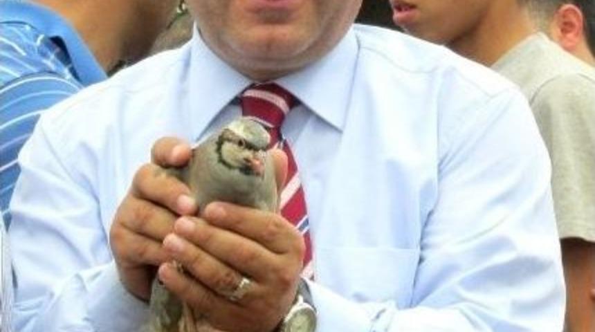 500 Kınalı Keklik Doğaya Salındı