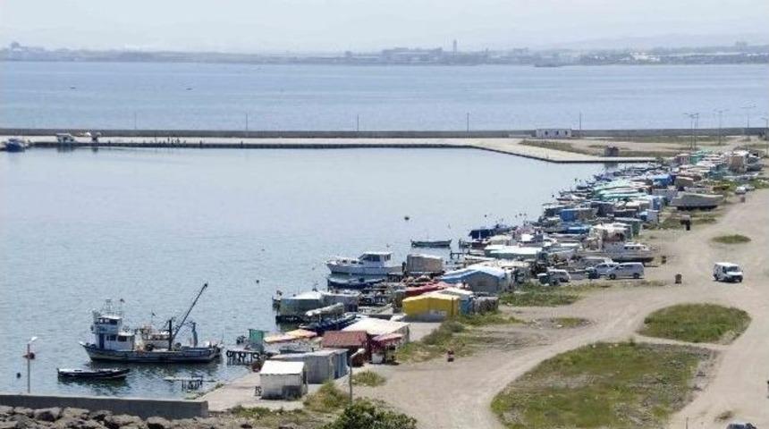 Belediyeevleri Balık&ccedil;ı Barınağı Yıkılacak, Yenisi Yapılacak