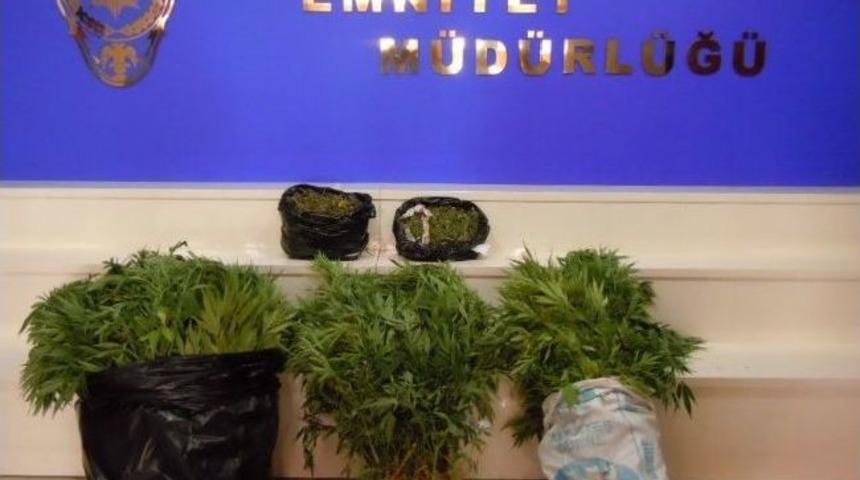 Adana'daki Uyuşturucu Operasyonlarında 13 Kişi Tutuklandı