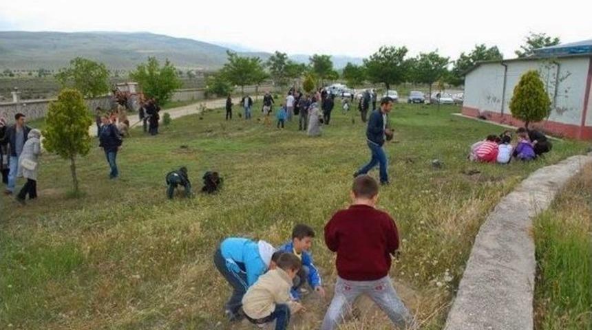 Bolvadin&rsquo;de &Ouml;ğrenciler Ağa&ccedil; Dikti