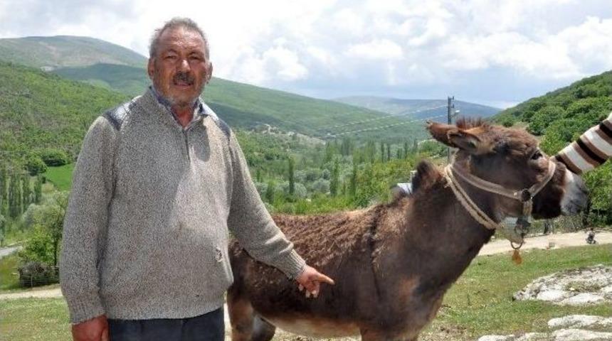Eşeğinin Bı&ccedil;aklandığı İddiasıyla Jandarmaya Başvurdu