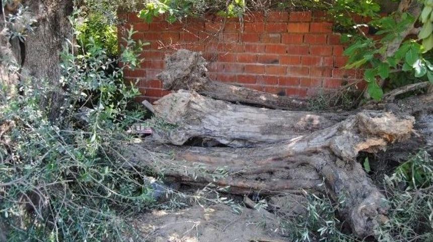 Kuyuda Ceset Aradılar