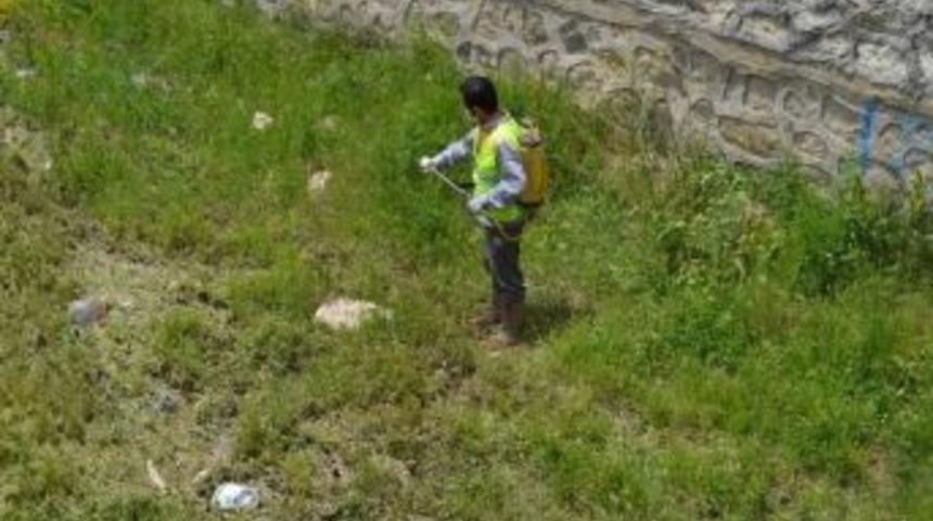 Şuhut&rsquo;ta İla&ccedil;lama Seferberliği