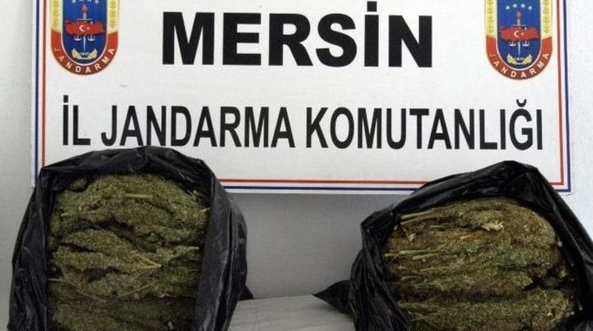 Jandarma Uyuşturucu Ticaretine İzin Vermiyor