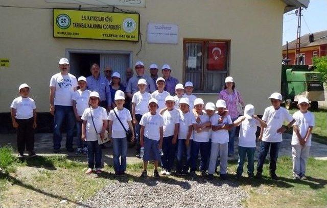 (özel Haber) Zonguldak’ta Lider Çocuk Tarım Kampı Projesi Uygulandı 1