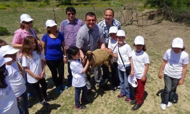 (özel Haber) Zonguldak’ta Lider Çocuk Tarım Kampı Projesi Uygulandı 2