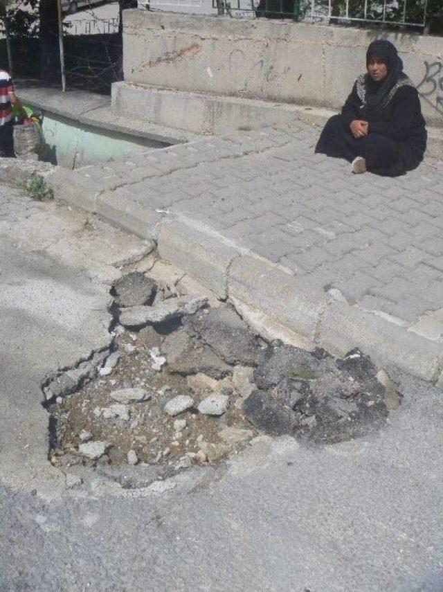 Bilecik’te Kadın Dilenciler Bıktırdı