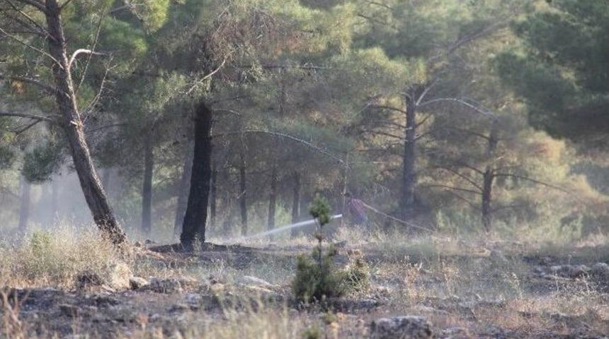&Ccedil;ıkan Orman Yangınında 400 Ağa&ccedil; Hasar G&ouml;rd&uuml;