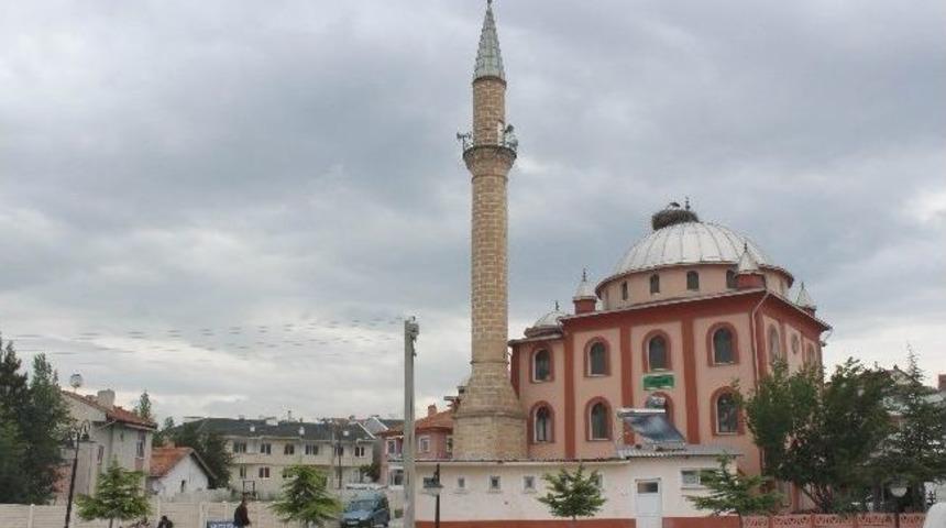 Leylekler Caminin Kubbesini Mesken Tuttu