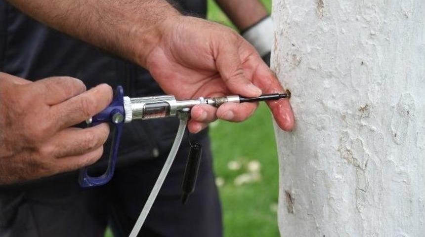 B&ouml;yle İla&ccedil;lama Y&ouml;ntemi G&ouml;r&uuml;lmedi