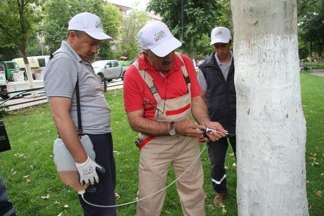 Böyle İlaçlama Yöntemi Görülmedi