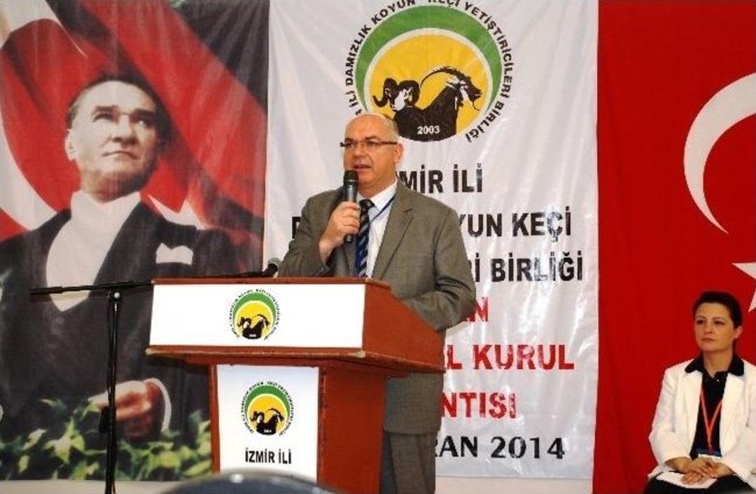 Kuzu Ve Oğlak Eti Atağa Kalkacak!