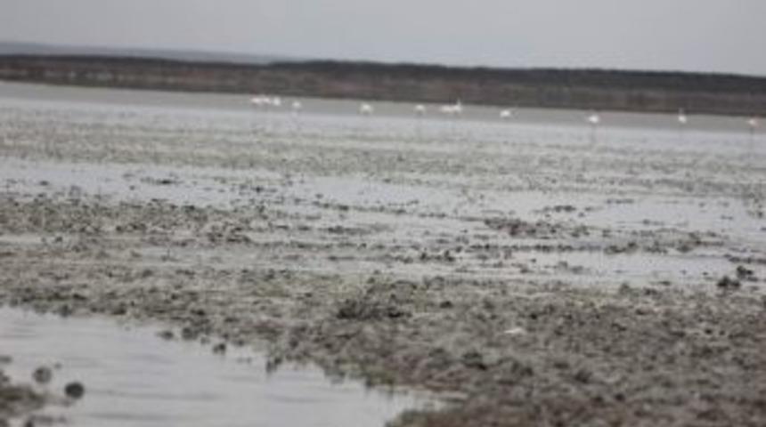 Seyfe Kuş Cennetinde Su Seviyesi Artmıyor