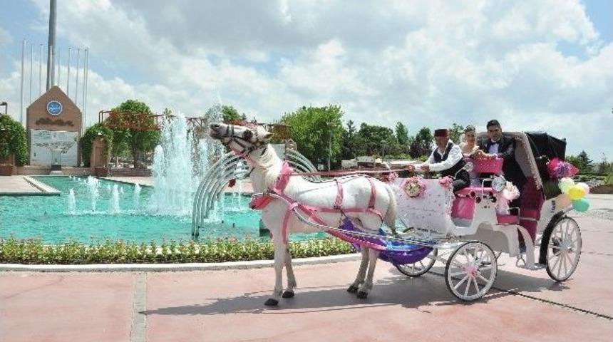 Yeni Evlilere Altınpark S&uuml;rprizi