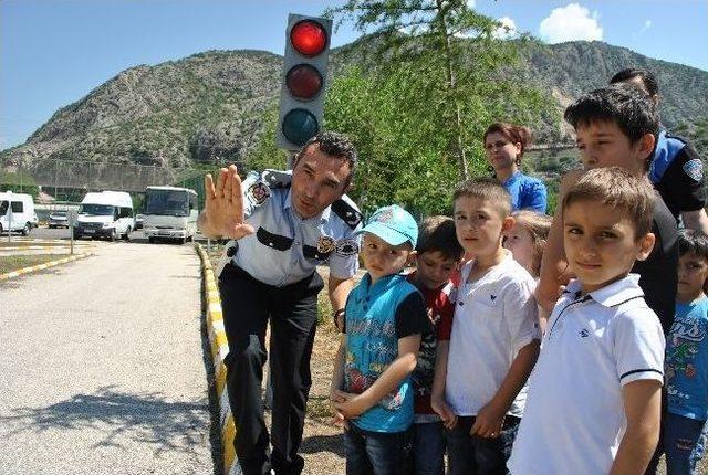 Amasya Emniyet Kemeri Kullanımında Avrupa Ortalamasını Yakaladı