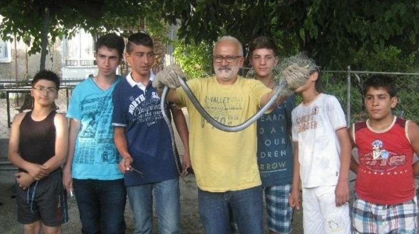 Balık&ccedil;ı Ağına Kara Yılan Takıldı