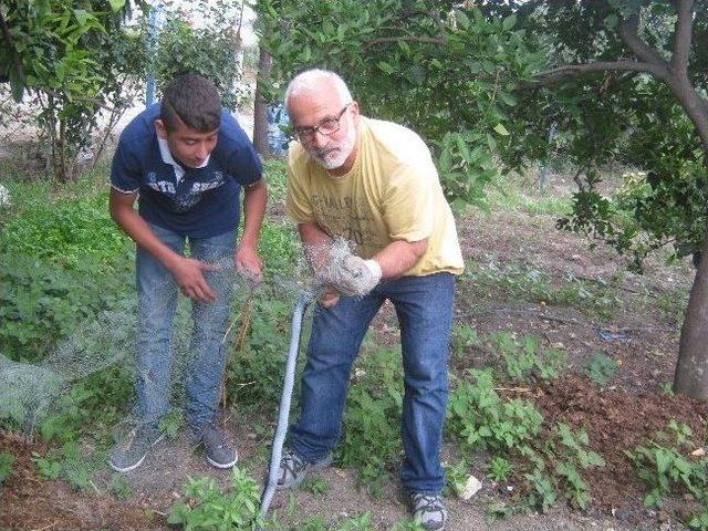 Balıkçı Ağına Kara Yılan Takıldı