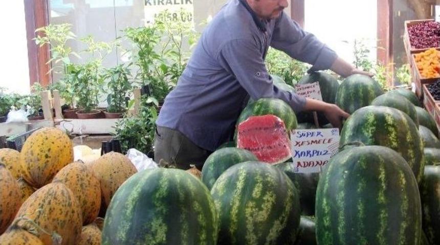 Kabak Aşısı Karpuzun Hem Fiyatını, Hem Kalitesini D&uuml;ş&uuml;rd&uuml;